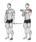 Rear Deltoid Stretch