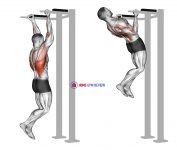 Reverse grip Pull-up