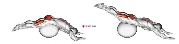 Reverse Hyper extension (on stability ball)