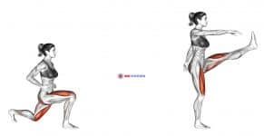 Reverse Lunge (leg kick)