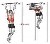 Rocky Pull-Up Pulldown