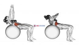 Russian Twist (on stability ball arms straight)