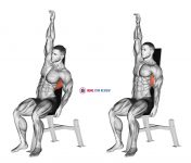 Seated Lower Back Stretch