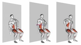 Seated Side Crunch (Wall)