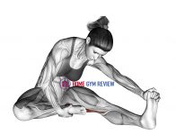 Seated Single Leg Hamstring Stretch