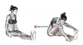 Seated Straight Leg Calf Stretch