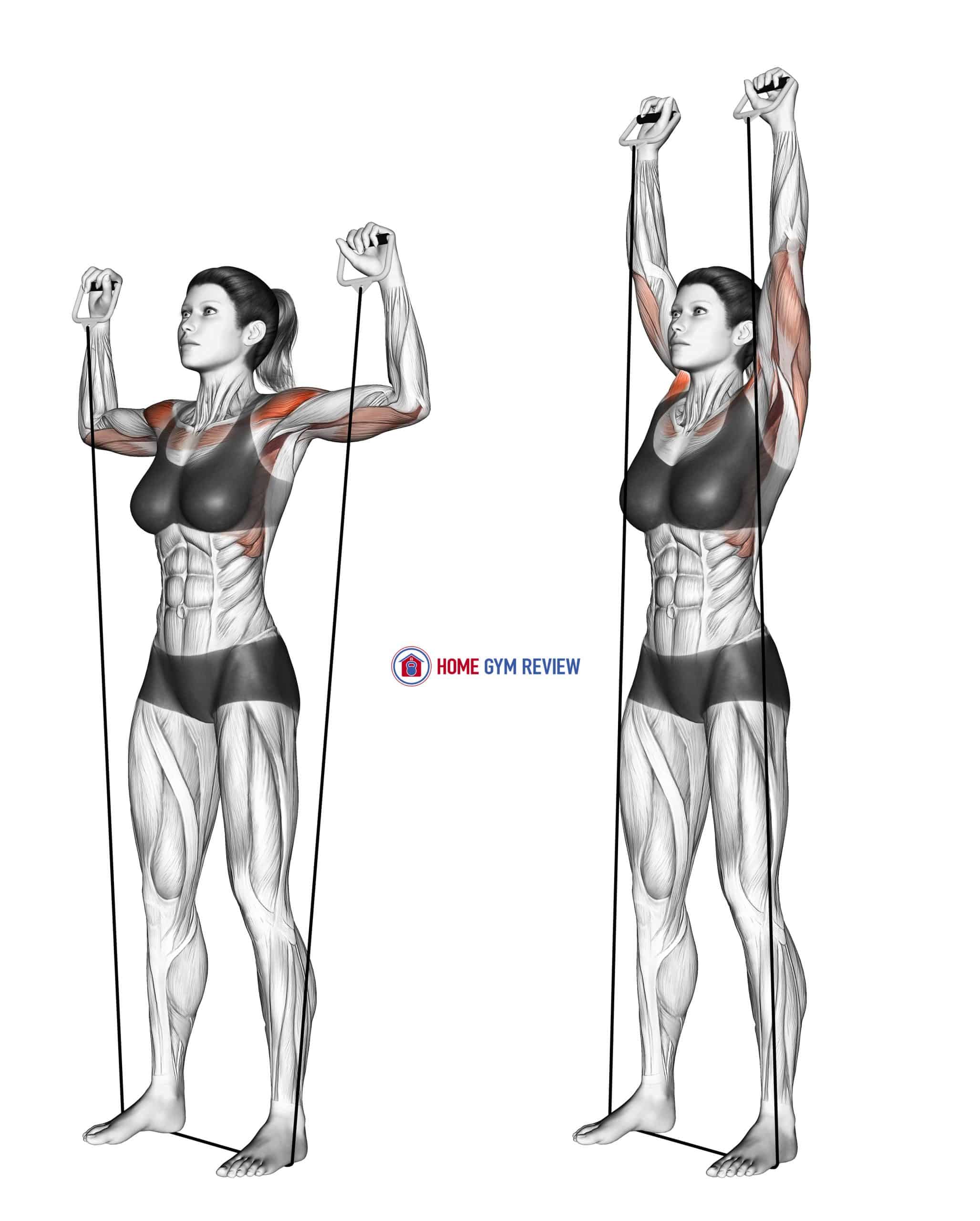 Shoulder Press (with band)