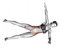 Side Bridge Hip Abduction (star)