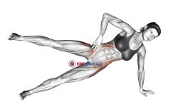 Side Bridge Hip Abduction