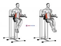 Side Hip (on parallel bars)