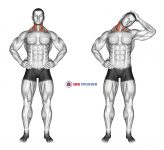 Side Neck Stretch