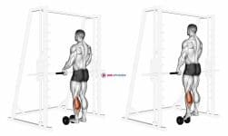Single Leg Calf Raise (on a dumbbell)
