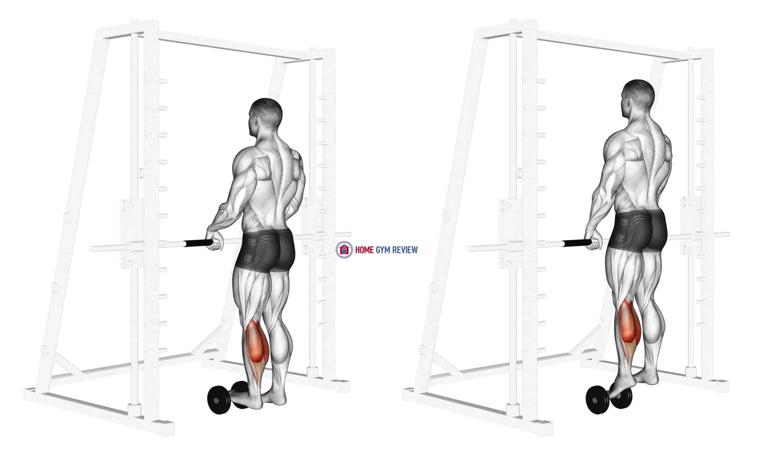 Calves Exercises At Christine Hibbler Blog Calves Exercises At Christine Hibbler Blog