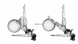 Single Leg Extension (on stability ball)