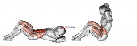 Sit-Up (version 2)