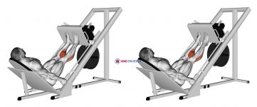 Sled 45° Calf Press