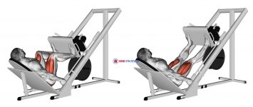 Sled 45° Leg Wide Press