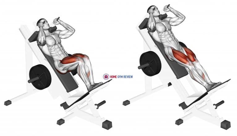 Sled Closer Hack Squat - Home Gym Review