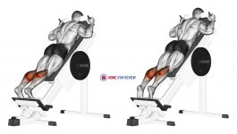 Sled Forward Angled Calf Raise
