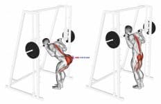 Smith Bent Knee Good morning