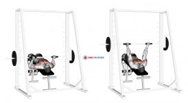 Smith Decline Reverse-grip Press