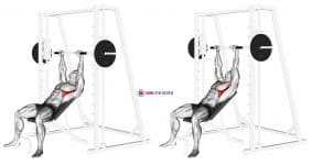 Smith Incline Shoulder Raises