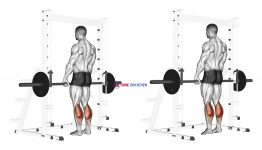 Smith Standing Leg Calf Raise