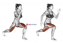 Split Squat
