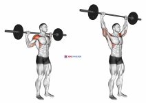 Standing Behind Neck Press