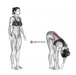 Standing Hamstring Stretch