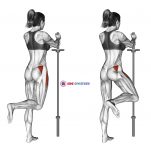 Standing Hip Abduction (bent knee)
