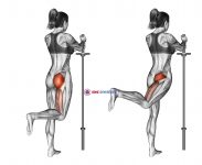 Standing Hip Extension (bent knee)