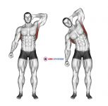 Standing Lateral Stretch