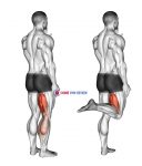 Standing Single Leg Curl