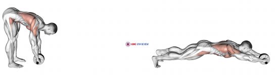 Standing Wheel Rollout