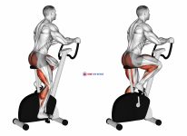 Stationary Bike Walk