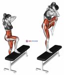 Step-up opposite elbow to knee twist