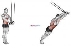 Suspended Abdominal Fallout