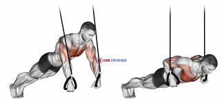 Suspended Push-Up