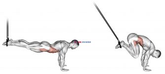 Suspended Reverse Crunch