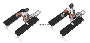 Triceps Dip (between benches)