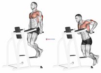 Triceps Dip