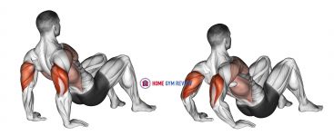 Triceps Dips Floor