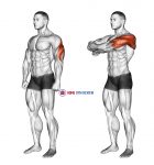 Triceps Stretch