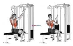 Twin handle parallel grip lat pulldown