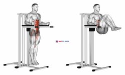 Vertical Leg Raise (on parallel bars)