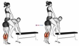 Weighted Donkey Calf Raise