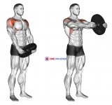 Weighted Front Raise