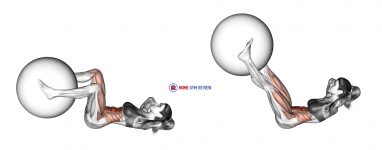 Weighted Leg Extension Crunch