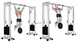 Weighted Pull-Up